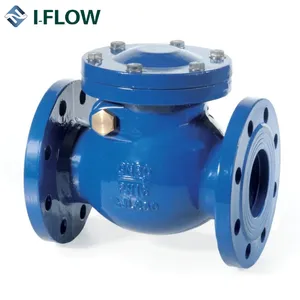 Swing Type Check Valve BS Cast Iron Swing Check Valve With Lever Weight
