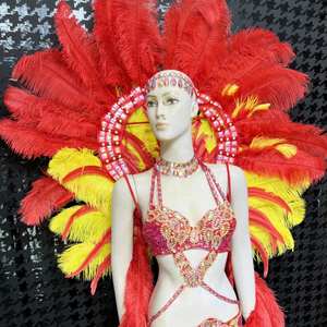 Costume de danse du ventre brésilien pour femmes, en polyester, avec perles et cristaux, pour le carnaval, ensemble de danse du ventre sexy dessiné à la main - Product Image 2