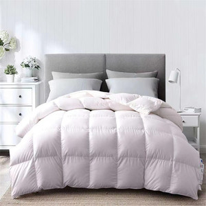 <span class=keywords><strong>Couette</strong></span> épaissie chaude en coton blanc avec plumes, couettes de lit, vente chaude d'hiver - Product Image 1