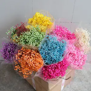 Flores secas DIY Gypsophila Romántico Día de San Valentín Ramo de flores secas