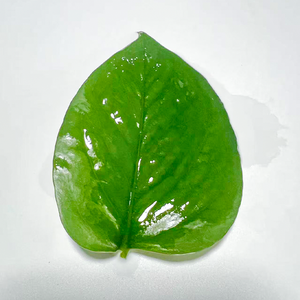 Silway 246 Agent mouillant <span class=keywords><strong>liquide</strong></span> noir de carbone incolore et transparent pour l'agriculture, adjuvant fertilisant, pureté 100% - Product Image 1