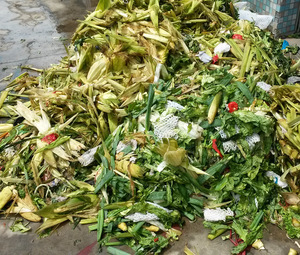 Moteur à engrenages pour presse à vis de déshydratation, roulement pour traitement intensif des déchets organiques mixtes en acier inoxydable - Product Image 5