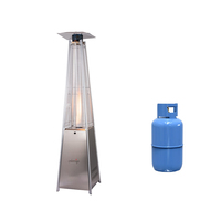 Chauffage au gaz infrarouge en acier de haute qualité Chauffage rapide Chauffage de terrasse au gaz naturel avec GPL pour le jardin Chaleur extérieure