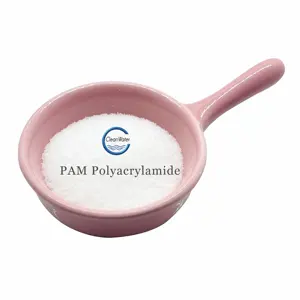 High Quality Industry Effluent Polymers CAS 9003-05-8 Polyacrylamide PAM CPAM