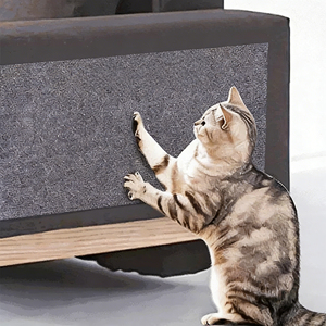 Stiker Dinding Anti Gores <span class=keywords><strong>Sofa</strong></span> Multifungsi Modern yang Dapat Disesuaikan, Bisa Dipotong Sesuai Ukuran, Perekat, Alas Anti Gores untuk Kucing - Product Image 3