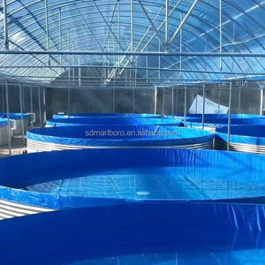 Biofloc Aquacultuur Visvijver Binnen/Buiten Tilapia Kweekapparatuur Circulaire PVC Visvijver <span class=keywords><strong>1000</strong></span> <span class=keywords><strong>Gallon</strong></span> Viskwekerijsysteem - Product Image 3