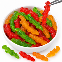 Fabricant de bonbons en gros Halal, bonbons gélifiés acidulés en vrac, bonbons mous, friandises, snacks, gommes comestibles aux fruits, assortiment de crocodiles