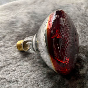 Инфракрасная лампа 75 Вт 150 Вт 250 Вт для подогрева птицы - Product Image 5