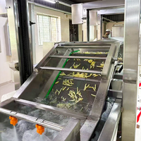 Chaîne de production de frites surgelées de qualité supérieure, machine automatique de friture de légumes, capacité 1000, 380V