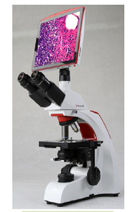 Microscope biologique trinoculaire numérique médical personnalisé <span class=keywords><strong>Phenix</strong></span> BMC303 40x-1600x pour la pathologie - Product Image 6