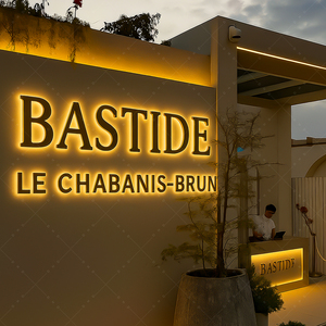 Cao cấp <span class=keywords><strong>3D</strong></span> LED chiếu sáng dấu hiệu Backlit kênh chữ dẫn đăng ký cho khách sạn sang trọng và khách sạn xây dựng thương hiệu - Product Image 1