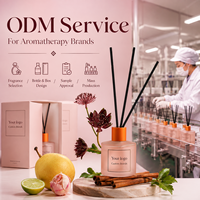 Diffuseur à bâtonnets en verre dépoli avec capuchon orange et bâtonnets noirs, parfum d'ambiance pour la maison, décoration spa, fournisseur en gros OEM ODM