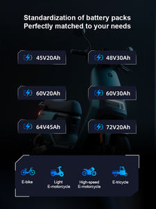 بطارية Lifepo4 للدراجات النارية من نوع pigonage 15Ah V بطارية Lifepo4 أسطوانية عالية الأداء - Product Image 4