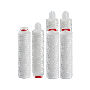 Cartucho de Filtro de Membrana PES de 10 Pulgadas, Membrana Asimétrica EN-222, Tratamiento de Agua Pura para <span class=keywords><strong>Microelectrónica</strong></span> y Pantallas - Product Image 4