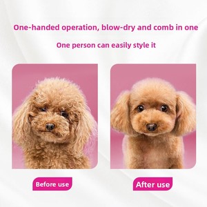 Secador de Pelo <span class=keywords><strong>para</strong></span> Mascotas, <span class=keywords><strong>para</strong></span> Golden Retrievers, Peluquería Canina, Secador de Pelo, Soplador <span class=keywords><strong>para</strong></span> Peinar el Pelo, Silencioso, Suave, Circulación de Aire 360, con un Solo Botón - Product Image 5
