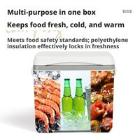 Glacière portable isotherme pour la maison, la voiture, le camping en extérieur, boîte de conservation des aliments pour la préservation au froid