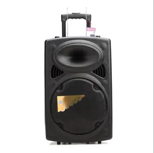 10 Inch Hoge Kwaliteit Karaoke Draagbare Multifunctionele Trolley Speaker Met Draadloze Microfoon * 2