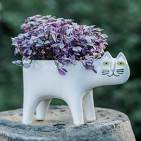 Pot collecteur de jardin Succulent avec égouttage, pratique pour les chats, pour le jardinage, en céramique, pour Cactus