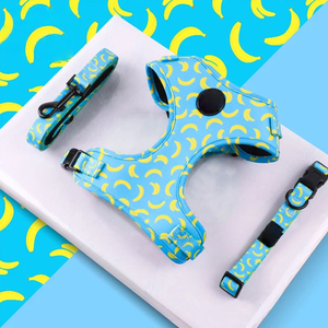 Harnais pour chien mains libres avec collier de fruits pêche 2026, personnalisable par sublimation, de luxe, vente en gros - Product Image 5