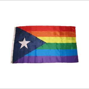 Оптовая продажа, индивидуальный принт, 100% полиэстер, 3x5, радужный флаг Пуэрто-Рико для геев с двумя Люверсами - Product Image 1