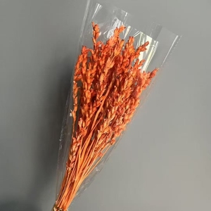 2025 Nuevo beleño conservado para decoraciones de bodas y decoraciones navideñas - Product Image 5