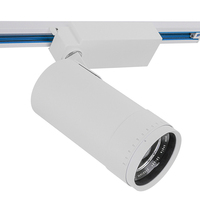 Projecteur LED à spectre complet pour culture en serre, dimmable et focalisable, pour serres commerciales et culture hydroponique intérieure