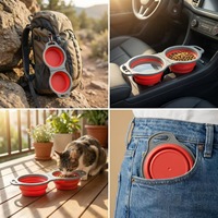Bol pliable portable pour animaux de compagnie, double compartiment 2-en-1, pour nourriture et eau, pour chats et chiens, vente en gros pour fabricants