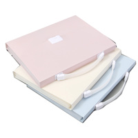 Carpeta de Archivos Personalizada de PP A4 con 13 Bolsillos, Carpeta Expandible con Estampado Dorado