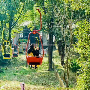 Nueva diversión vacaciones turismo al aire libre turismo teleférico Cable coche cabina fabricantes Cable esquí teleférico coche aleación Metal - Product Image 1