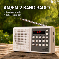 Lecteur MP3 USB Type C 1200 mAh avec logo personnalisé OEM ODM, moule privé, écran LED, lampe torche, radio FM de poche d'urgence pour l'extérieur, vente en gros