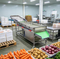 Machine de tri des fruits et légumes en acier inoxydable durable, à fonctionnement simple, pour les petites et moyennes entreprises agricoles.