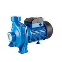 Pompe à eau centrifuge solaire flottante de surface NFM DTM à moteur CC efficace pour l'irrigation agricole haute pression