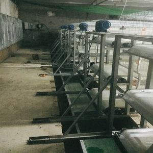 Système automatique de <span class=keywords><strong>cage</strong></span> pour poulets de chair de type H à 3 étages et 4 niveaux avec convoyeur à bande pour le nettoyage des déchets à vendre - Product Image 4