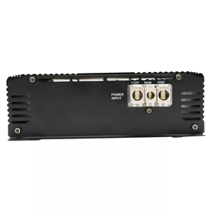 1000W Mono High Power Class D Car Audio Amplifier Mercado global Venta caliente Artículo Universal Car Used Car Audio System - Product Image 6