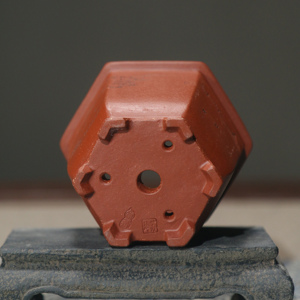 Maceta Hexagonal de Zisha, Maceta Zhuni Dahongpao para Bonsái, Maceta Pequeña Mi Tao Xiang con Tallado de Flores y Pájaros, Maceta del Artista Su Bing - Product Image 4