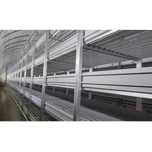 Steel Customized White Button Mushroom Growing Equipment Mushroom Growing Shelf For Mushroom <b>Cultivation</b> - Product Image 2