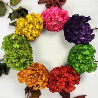 Huisbruiloftdecoratie 20-25cm Echte Natuurlijke Gedroogde Bloemen Kleurverf Eeuwige Hortensia Bloemen Grote Blad Ge conserveerde Hortensia Bloemen