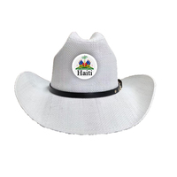 Écusson brodé personnalisable avec logo, patch pour chapeau de cowboy, étiquette tissée, forme carrée ou rectangulaire, drapeau d'Haïti brodé pour chapeau de cowboy