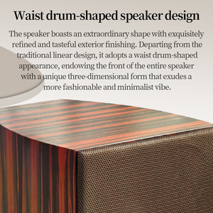 WZ-1000F tầng Loa tháp Loa trường hợp bằng gỗ thụ động non-pin lossless - Product Image 3