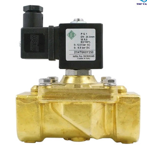 Vanne solénoïde ODE 21HT6K0Y250 1 pouce pour usage industriel - Product Image 2