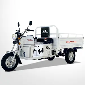 حسنا بيع 110cc 150cc 175cc ضوء تحميل دراجة نقل البضائع بثلاث عجلات دراجة ثلاثية العجلات مدبب المحور الخلفي حسب الطلب السلطة CCC المنشأ