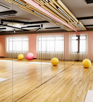 Miroir portable personnalisable et robuste pour salle de sport, studio de danse, scène, voyage – Ajustement sécurisé pour salle de bain, cuisine, salon, couloir, salle à manger
