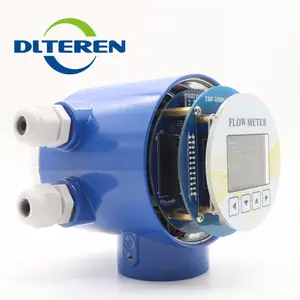 DLTEREN Display Electromagnetic Flow meter Converter China Supplier For Sewage water meter