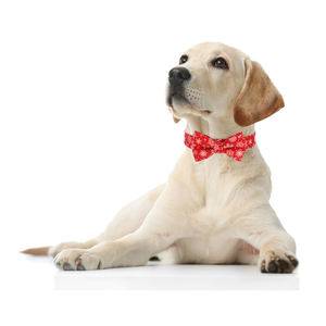 <span class=keywords><strong>Collar</strong></span> Personalizable con Temática Navideña de Liberación Rápida para Mascotas Pequeñas, Nailon, Poliéster, PU, Algodón, Estampado <span class=keywords><strong>Animal</strong></span>, Cintas, Corbatín para Perros - Product Image 3