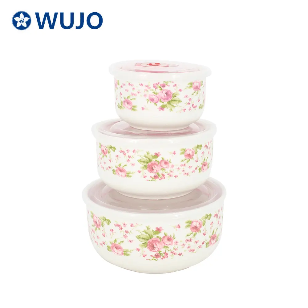 Hot Sale Food Storage Containers Microwave Safe Ceramics Bowl a Set of 3 Ceramic Storage Bowls with Lid
