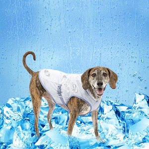 Chaleco Refrigerante de Moda 2026, Agradable al Tacto, Refrigeración Prolongada, Reutilizable, Cómodo, Ropa Deportiva para Mascotas, Material de Nailon - Product Image 2