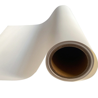 Prix d'usine, rouleau de film PET DTF double mat pour transfert thermique, taille 30 cm, 33 cm, 45 cm, pour t-shirts