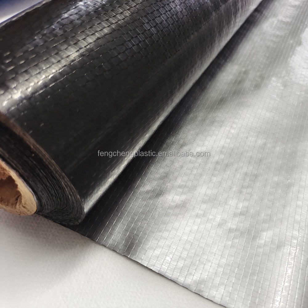 สีดำเงิน