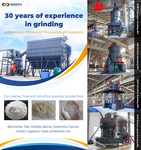Industrie de la peinture d'application de broyeur vertical de poudre de dolomite - Product Image 3