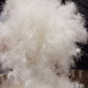 Haute qualité en gros 70% bonne puissance <span class=keywords><strong>de</strong></span> remplissage lavable en Machine USA Starand plume <span class=keywords><strong>de</strong></span> duvet <span class=keywords><strong>de</strong></span> <span class=keywords><strong>canard</strong></span> blanc naturel à vendre - Product Image 2